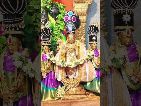 శనివారం పచ్చకర్పూర నామ సేవ #gadwal #narasimhatemple #telugu